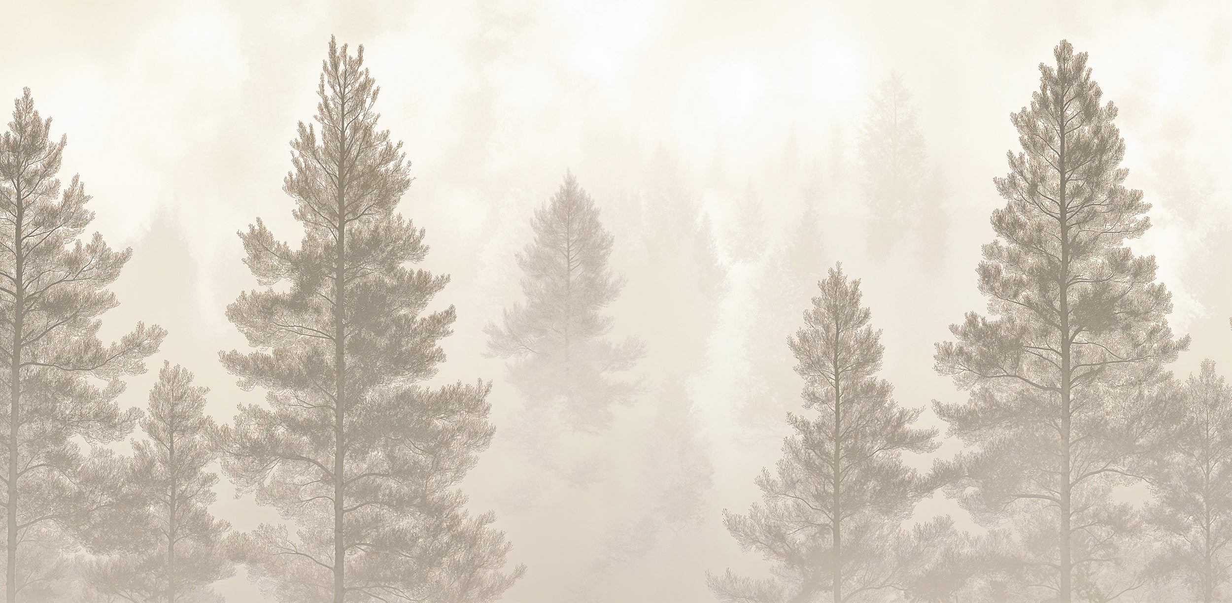 forest3